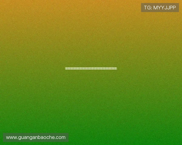 壹号信息官网首页：通过壹号信息官网首页了解公司历史背景与未来发展规划