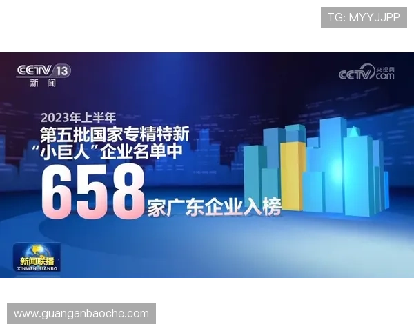 壹号旗舰平台:打造一站式多元化服务的行业领跑者